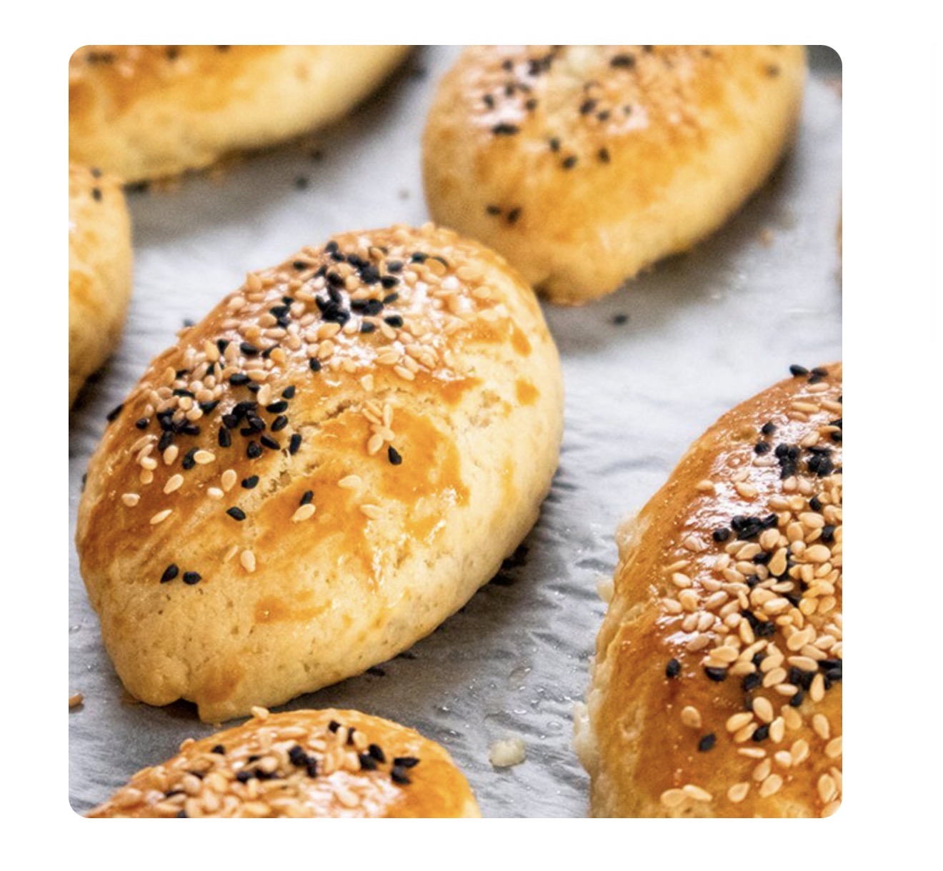 POĞÇA ÇEŞİTLERİ 